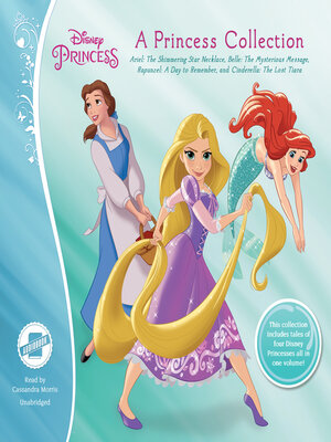 cover image of A Princess Collection
